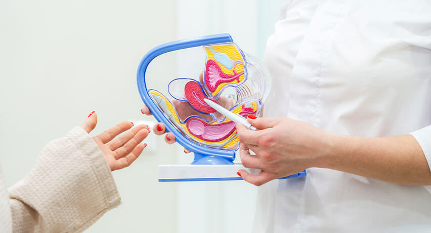 uterine fibroid surgery indication in bengali