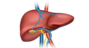 পিত্তনালীর রোগের কারণ